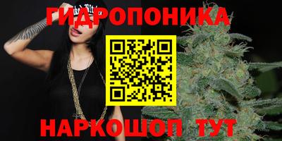 Альфа ПВП Коломна