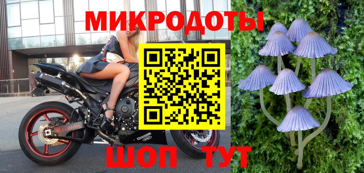 Псилоцибиновые грибы ЛСД  Вход с VPN  Междуреченск  Псилоцибиновые грибы прущие грибы 